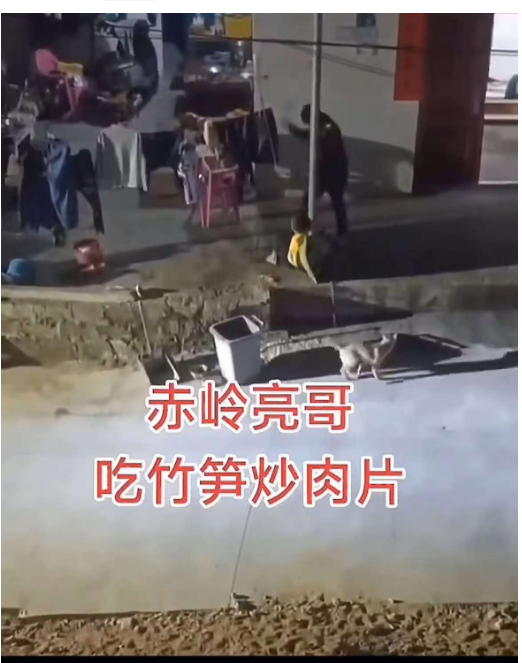 被央视报道 10 岁小孩阿亮 怎么比海贼王还燃了? 被央视报道 10 岁小孩阿亮 怎么比海贼王还燃了?