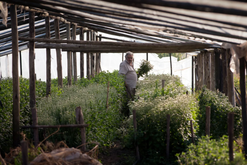 富裕国家的穷总统去世：住板房 开破车